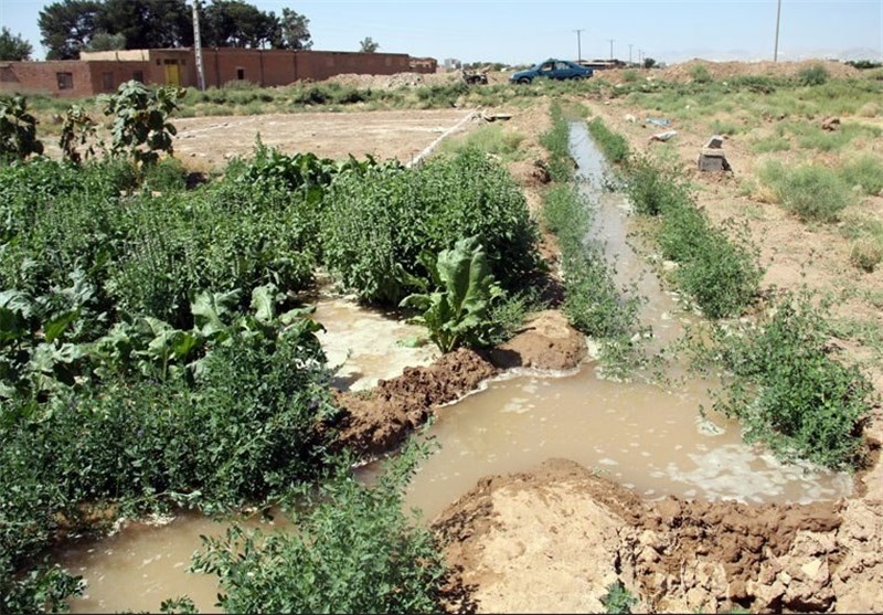 سفره‌های  آب زیرزمینی دشت قزوین احیا می‌شود