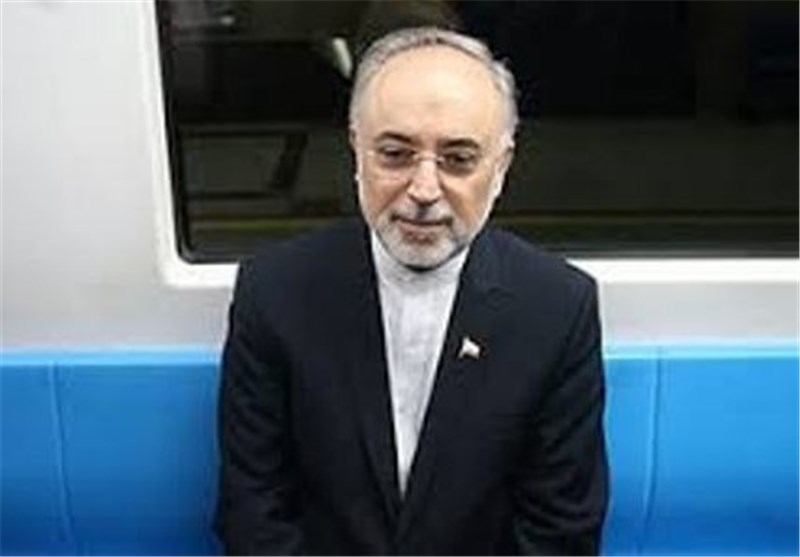رئیس سازمان انرژی اتمی در مصلای امام‌خمینی(ره) رای داد