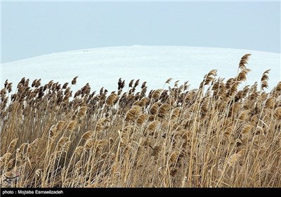 طبیعت برفی آذربایجان غربی