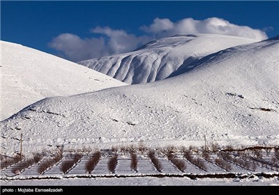 طبیعت برفی آذربایجان غربی