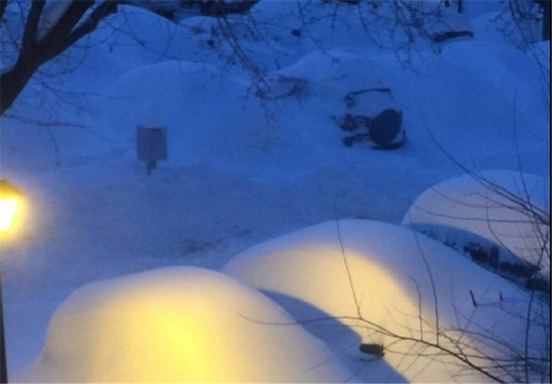 خودروهایی که در واشنگتن زیر برف دفن شدند+عکس