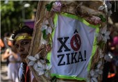 WHO Declares Zika Virus A Global Emergency
