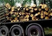 یک میلیون متر مکعب چوب امسال استحصال و تولید می‌شود
