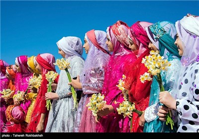 Daffodil Festival in Iran’s Fars Province