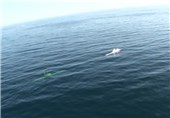 لحظه پرتاب و اصابت اژدر به هدف از زیردریایی‌های طارق و غدیر + فیلم