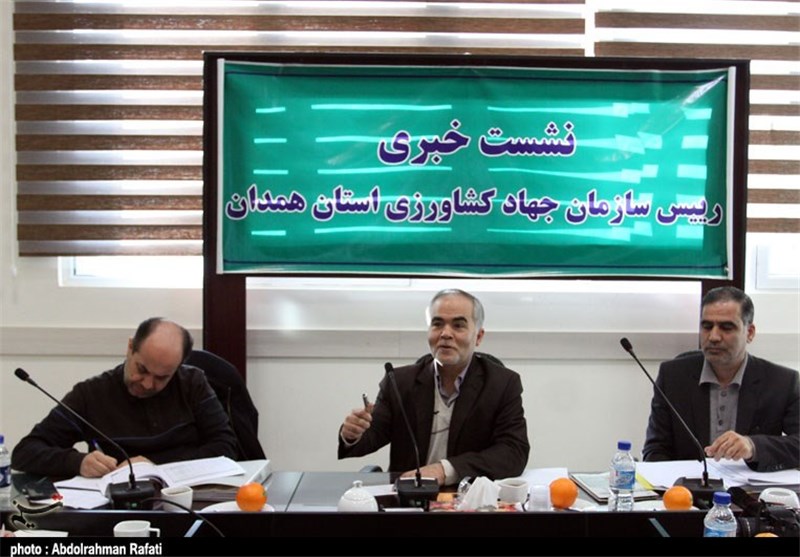 امسال 280 میلیون دلار محصول کشاورزی از همدان صادر می‌شود/ زیرساختهای صادراتی در همدان ضعیف است