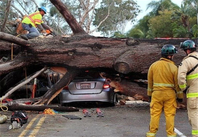 1 Killed by Fallen Tree as Storm Hits California