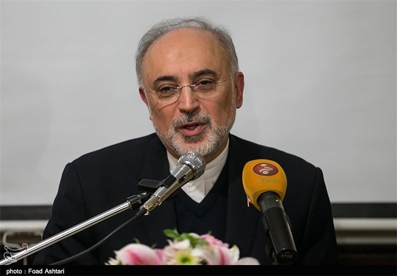 JCPOA Durability Hinges on Other Side’s Full Implementation: Salehi