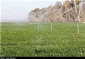 48 پروژه کشاورزی در استان زنجان افتتاح می‌شود