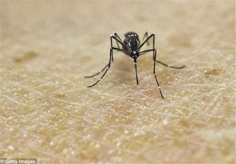 Florida Gov. Declares State of Emergency in Counties with Zika Virus