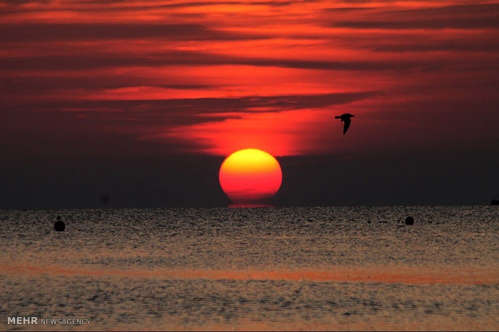 ساحل طلوع کیش کجاست