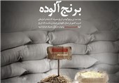 برنج‌های آلوده استان لرستان غیرقابل مصرف هستند/ 4500 تن برنج وارداتی آلوده انبار شد