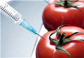 گیاهان «تراریخته»، پایان گرسنگی یا زنگ خطر «بیوتروریسم»