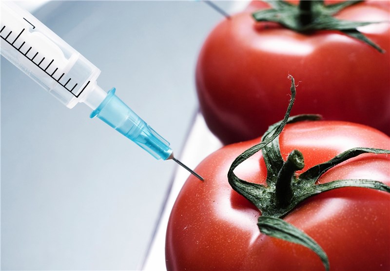 عدم کنترل «محصولات غذایی دستکاری‌شده ژنتیکی وارداتی» از علل افزایش سرطان در کشور