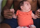 New Zika Hot Spots Emerge in Venezuela, Colombia
