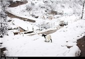 برف 40 روستای رحیم‌آباد استان گیلان را سفیدپوش کرد