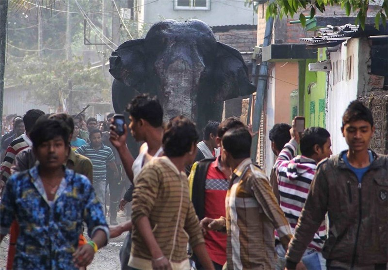 تصاویر/فیل خشمگین و سرگردان در خیابان های شهر سیلیگوری هند