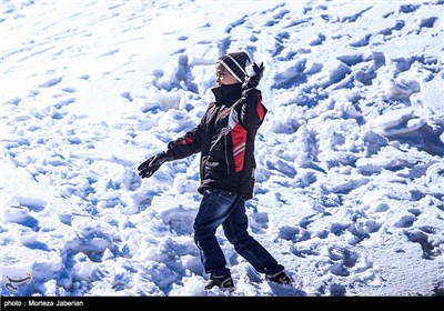 Iranian People Enjoying Winter in Snowy Mountains