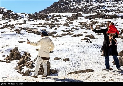 Iranian People Enjoying Winter in Snowy Mountains