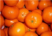 ورود نارنگی قاچاق پاکستان با قیمت کیلویی7 هزار تومان