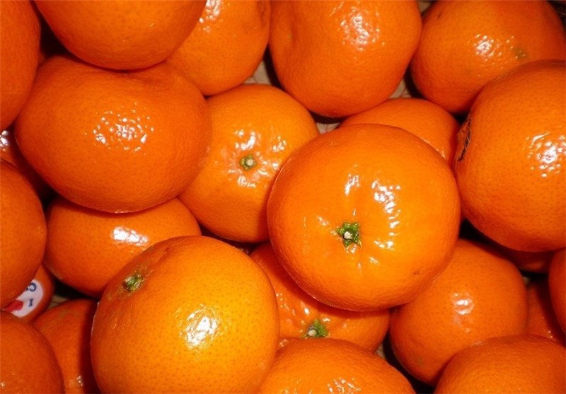 کشف تریلی نارنگی قاچاق، در میدان مرکزی میوه