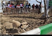 تجمع اعتراض آمیز به قانون حمایت از حیوانات در مشهد