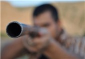 600 قبضه سلاح شکاری غیرمجاز در استان کرمانشاه شناسایی شد