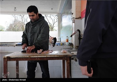 به مناسبت روز مهندس - حوضچه پرورش ماهی