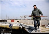 مراکز پرورش ماهی سردآبی در الموت استان قزوین توسعه یابد/تولید 20 درصد ماهی‌ استان در منطقه الموت
