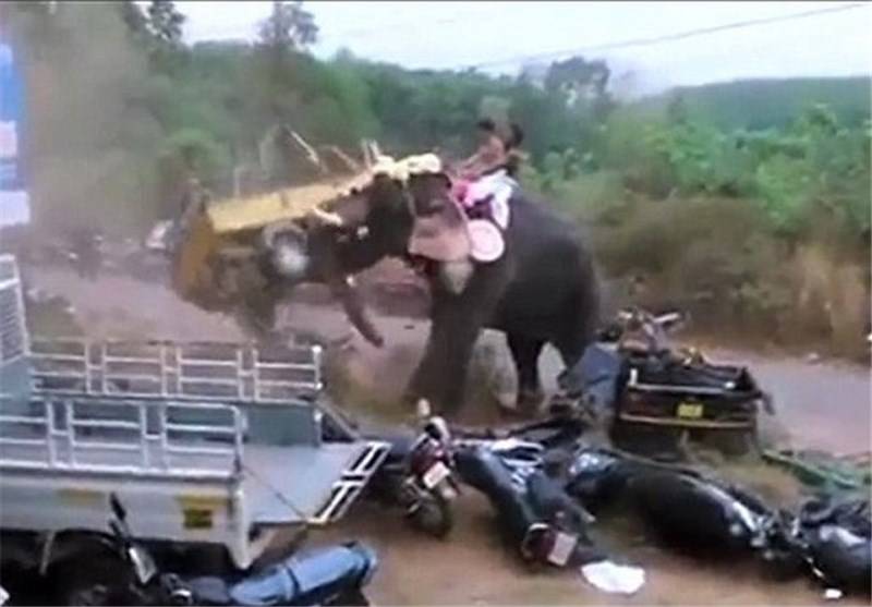حمله فیل عصبانی به برگزارکنندگان مراسم مذهبی در هند + تصاویر