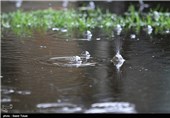 بارش باران در شهرضا مسافران نوروزی را غافلگیر کرد