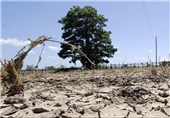 خسارات خشکسالی در مناطق روستایی اردبیل پرداخت می‌شود