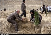Iran Starts Marking National Week of Natural Resources