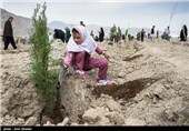 200 هزار اصله نهال به مناسبت روز درختکاری در استان قم کاشته می‌شود