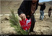 Iran Starts Marking National Week of Natural Resources