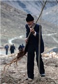 Iran Starts Marking National Week of Natural Resources