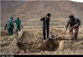بوستان 4 هزار شهید استان گلستان درختکاری شد