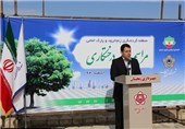 سرانه فضای سبز در زنجان 10.7 مترمربع است
