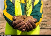 بیش از یک میلیون و 600 هزار اصله درختچه در شهرک‌های صنعتی اردبیل کاشته شد