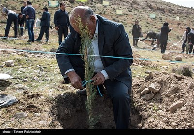 مراسم روز درختکاری در شیراز