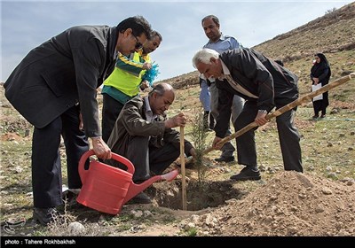 مراسم روز درختکاری در شیراز