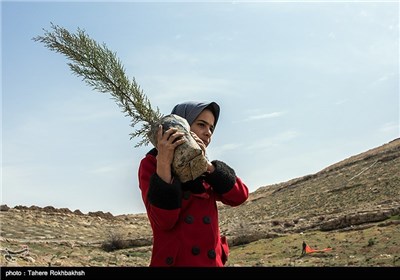 مراسم روز درختکاری در شیراز