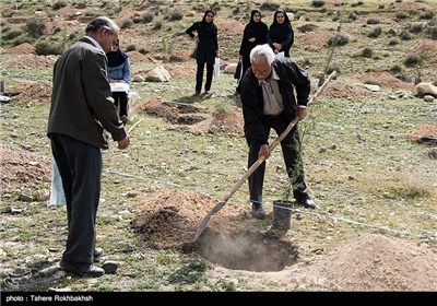 مراسم روز درختکاری در شیراز