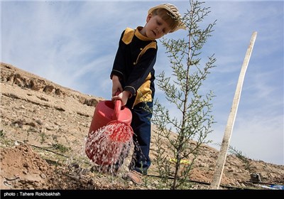 مراسم روز درختکاری در شیراز