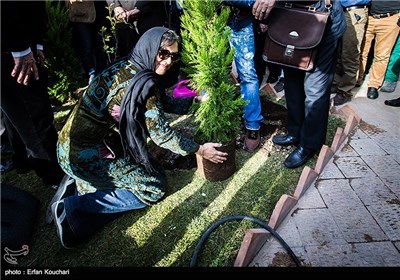 مراسم کاشت نهال توسط سینماگران