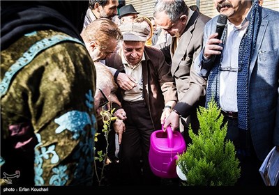 مراسم کاشت نهال توسط سینماگران