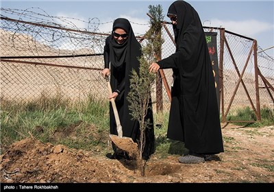 مراسم روز درختکاری در شیراز