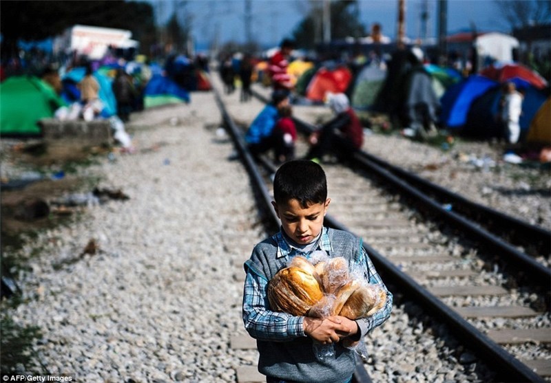 پناهجویان در تقلای نان و هیزم در اروپا + تصاویر