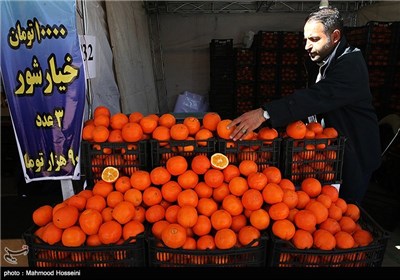 نمایشگاه بهاره در فرهنگسرای خاوران