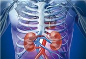 New Strategy May Help Prevent Kidney Failure in Patients with Diabetes